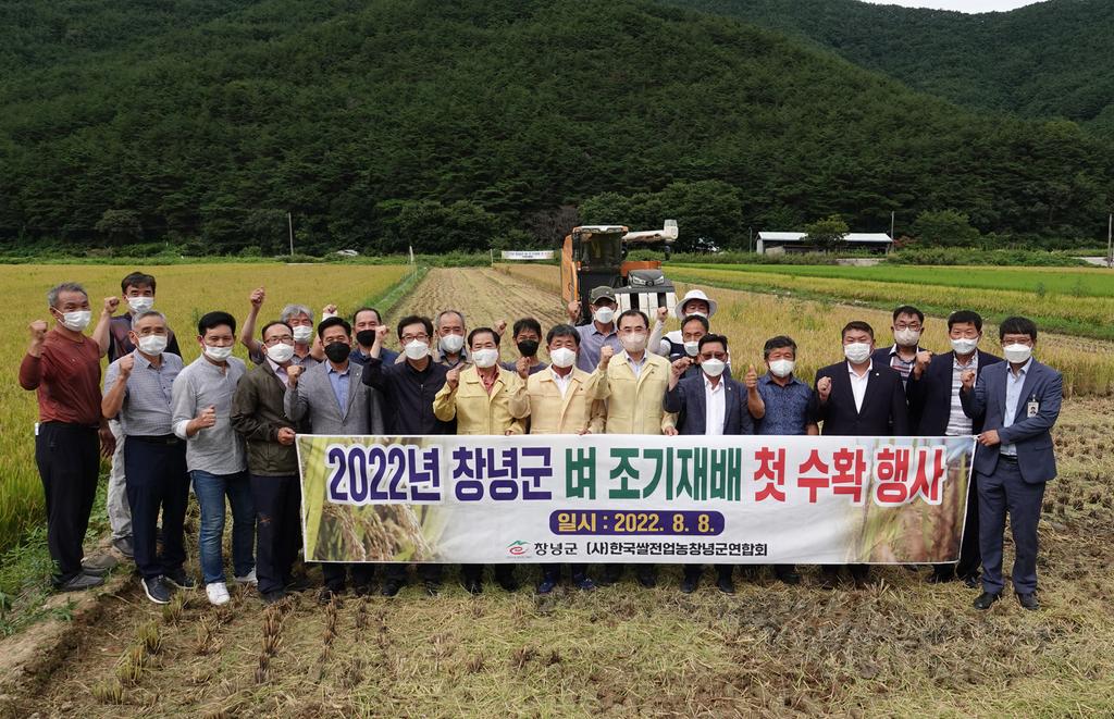 창녕군, 2022년 벼 조기재배 첫 수확 실시 이미지(1)
