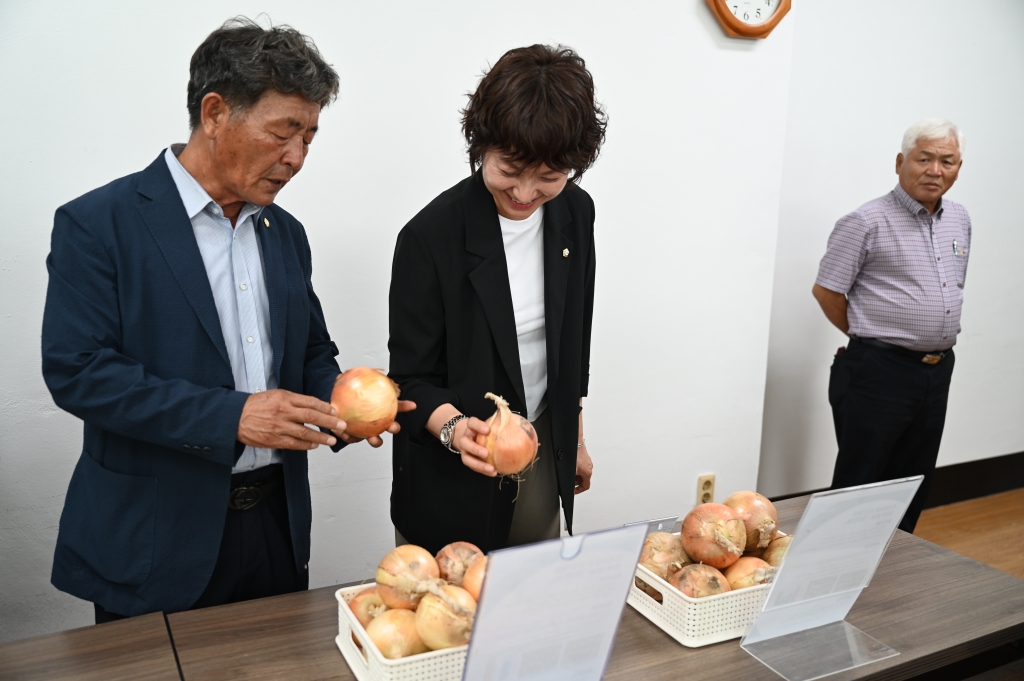 2026년 양파 국내육성 품종 품평회 이미지(7)