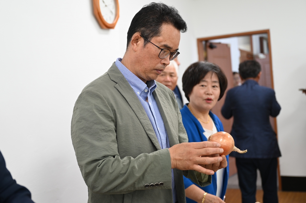 양파 국내육성 품종 품평회 및 재배기술교육 이미지(8)
