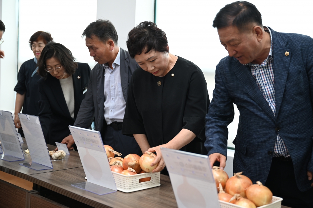 2026년 양파 국내육성 품종 품평회 이미지(4)