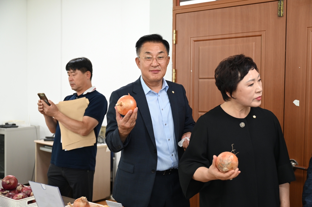 2026년 양파 국내육성 품종 품평회 이미지(6)