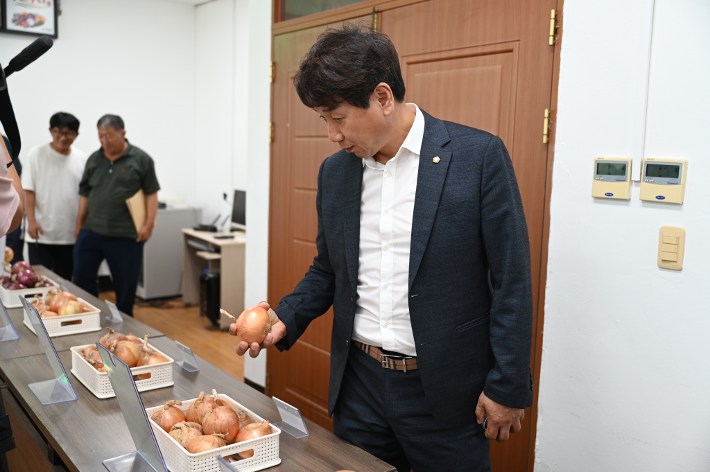 2026년 양파 국내육성 품종 품평회 이미지(3)