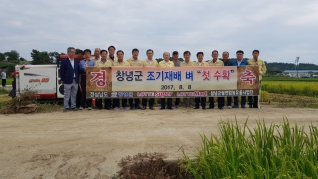 창녕군 조기재배 벼 \