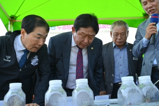 마늘 신품종 「백산」 및 우량종구 현장평가회 대표이미지