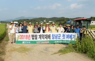 2018년 창녕군 조기재배 벼 
