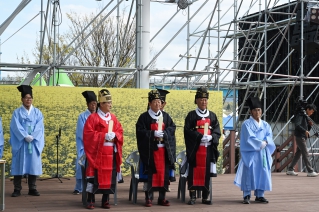 제21회 창녕낙동강 유채축제 대표이미지